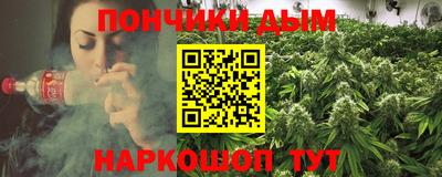 индика Гусиноозёрск
