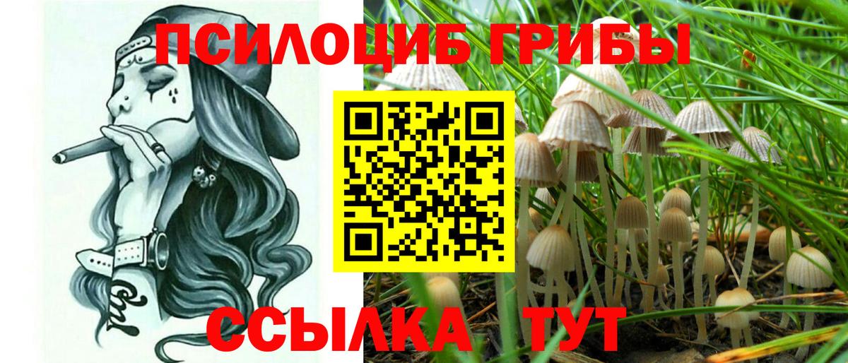 Псилоцибиновые грибы мухоморы  Псилоцибиновые грибы MAGIC MUSHROOMS  Нижнекамск  Вход с VPN 