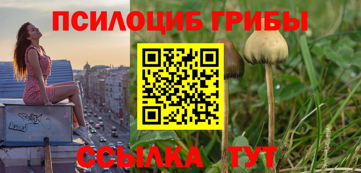 Галлюциногенные грибы GOLDEN TEACHER Нижнекамск